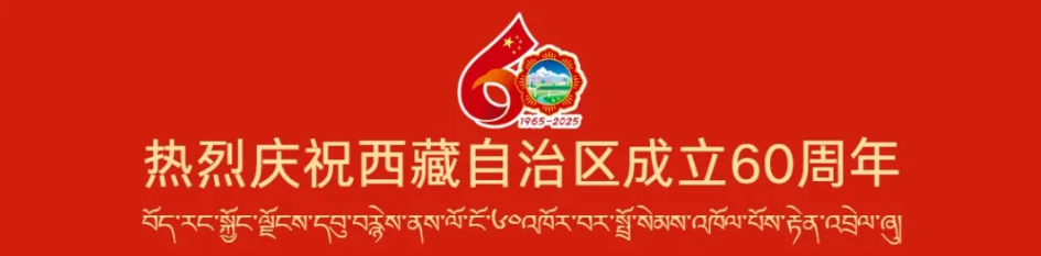 习近平：全面贯彻新时代党的治藏方略 努力建设团结富裕文明和谐美丽的社会主义现代化新西藏